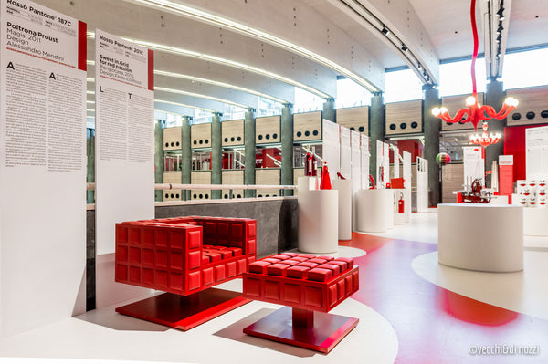 Bongiocasa complementi